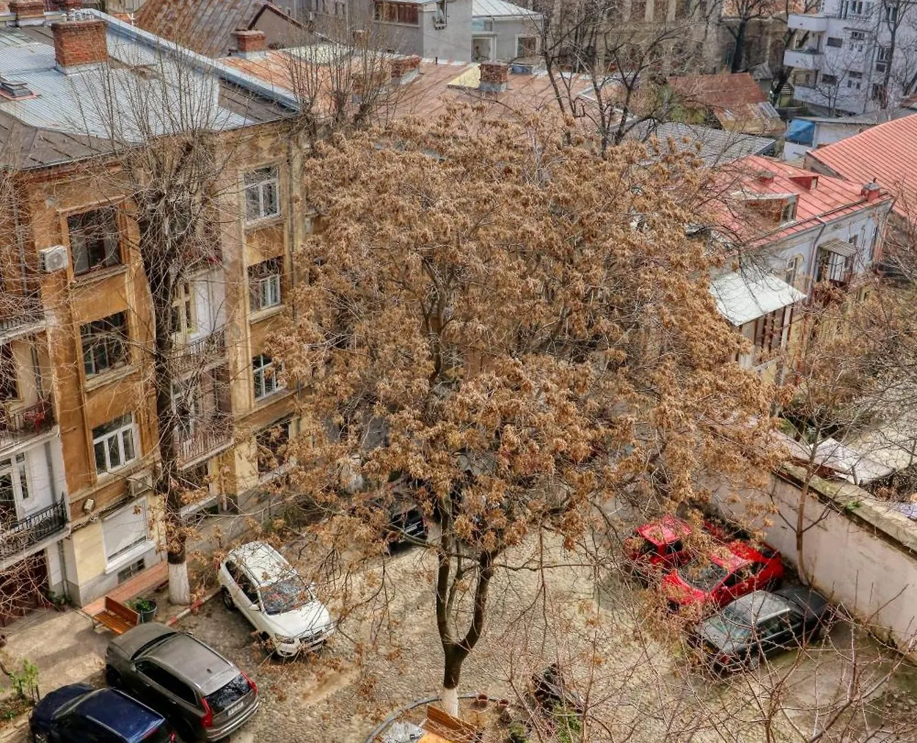 Apartment Neo-Classic Design Near Downtown Bucharest